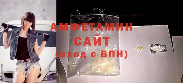 мдпв Вяземский