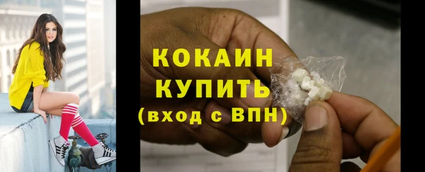 мдпв Вяземский