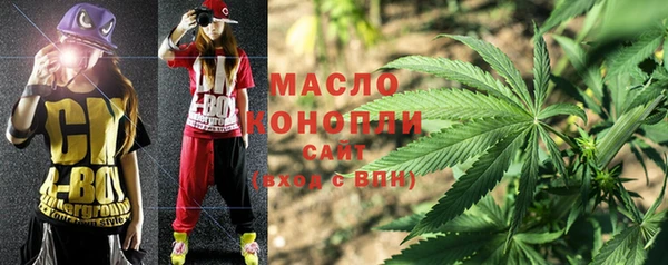 мдпв Вяземский
