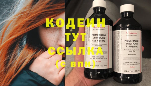 мдпв Вяземский