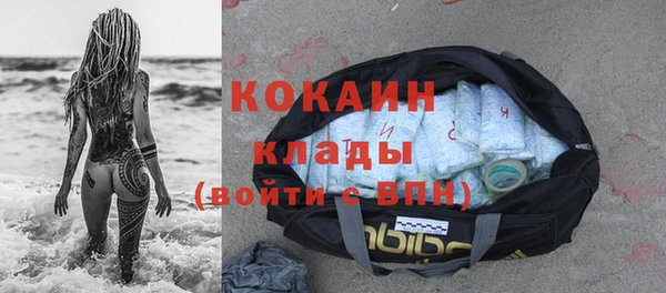 ГАЛЛЮЦИНОГЕННЫЕ ГРИБЫ Сосновка
