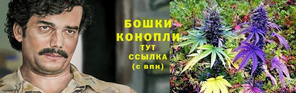 мдпв Вяземский