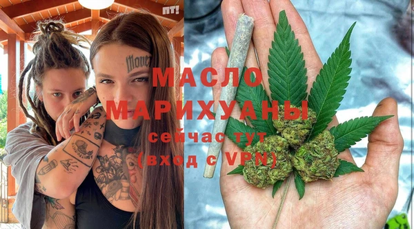 мдпв Вяземский