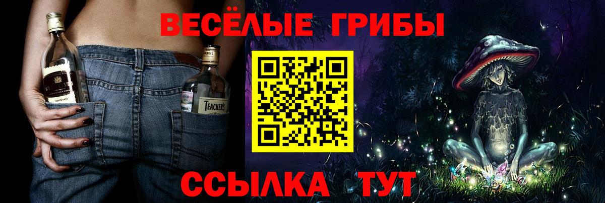Галлюциногенные грибы Psilocybe  Вход с VPN  Галлюциногенные грибы прущие грибы  Старый Оскол 